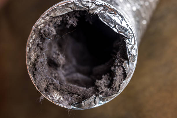 Best HVAC Air Duct Cleaning  in Taylor Creek, FL