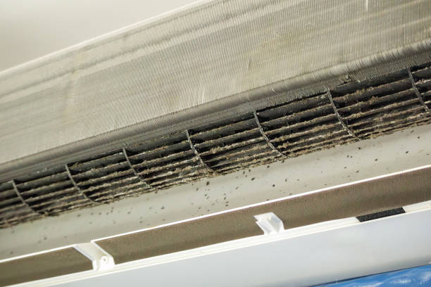 Best Home Air Vent Cleaning  in Taylor Creek, FL